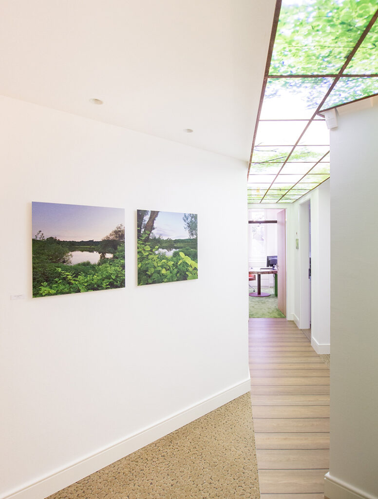Ein heller Flur mit Naturfotos an der Wand, Decke teils mit Waldmotiv beleuchtet.